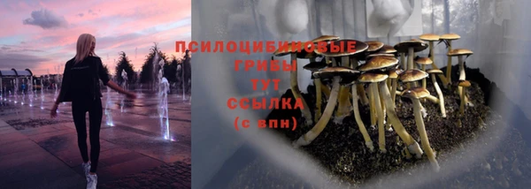 2c-b Балахна