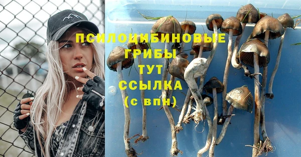 амф Белокуриха