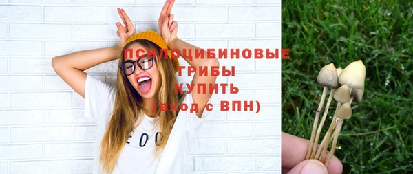 таблы Богданович