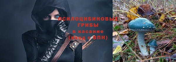 амф Белокуриха