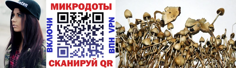 где найти   Белоярский  Галлюциногенные грибы GOLDEN TEACHER 